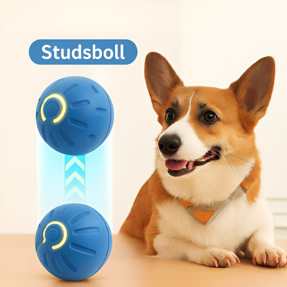 Studsande leksaksboll - Evig lek, lyckligt husdjur